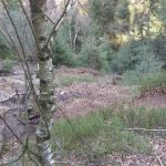 Platte und Umgehung von oben gesehen